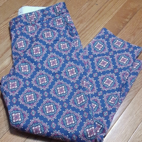 J. Crew Pants - J. Crew Capris🍭Adorable